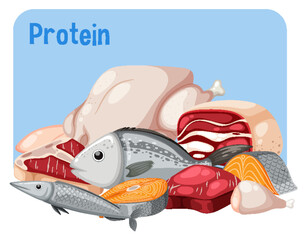 Wall Mural - variety of protein foods vector