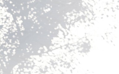 Wall Mural - black and white shadow