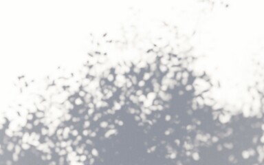 Wall Mural - black and white background