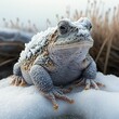 Frozen frog on ice, toad on snow ,made with Generative AI