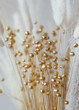 Boho poster - golden flax