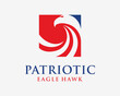 Eagle Hawk Falcon Power Force Patriotic American Patriot Political Square Frame Vector Logo Design