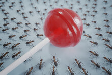 Many Hungry Ants Eating Lollipop. 3D Rendered Illustration.