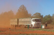 A truck full of livestock at a farm gate surrounded by a cloud of red dust - transport