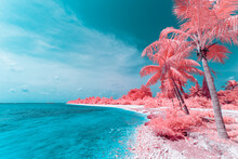 tropical island with palm trees in infrared