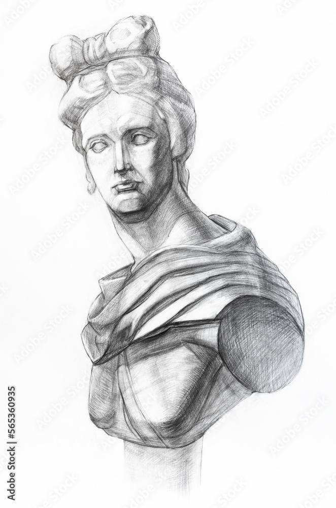 academic drawing - gypsum model of Apollo Belvedere bust hand drawn by regular pencil on white paper
