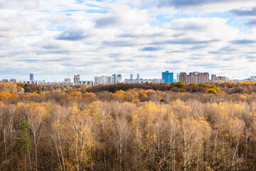 Wall Mural - cloudy sky over autumn forest and houses on horizon on autumn day