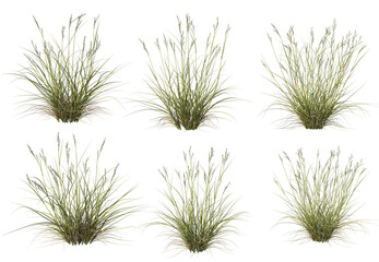 Wall Mural - 3d render a variety of plants and grasses.