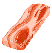 Raw Pork Belly Slice Korean BBQ Digital Hand Painting Illustration