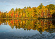 A shoreline of peak autumn color is reflected in the surface of a small Northwoods lake at sunrise.  Oneida County, WI.