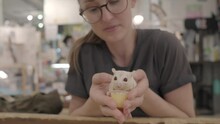 This Video Shows Shows A Woman Holding A Sugar Glider In Her Hands While It Eats A Fruit Cup.