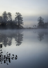 Wall Mural - A misty dawn on a secluded Northwoods lake.  Oneida County, WI.