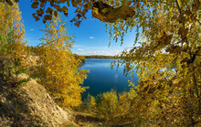 Blue Lake In The Distance Through Yellow Leaves In Autumn.