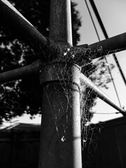 Wall Mural - spiderweb on metal