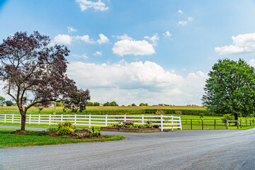 Wall Mural - Amish country field agriculture farm barn in Lancaster, PA US.