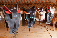 Horse Saddles Inside Ger Camps.