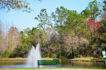 Wall Mural - Beautiful blue lake or pond in a Florida community