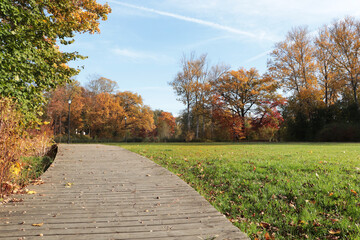 Wall Mural - picturesque view of park with beautiful trees and pathway on sunny day. autumn season
