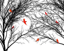 Red Cardinals Fly In Bare Branches Of Trees In Winter In This Illustration Isolated On A Transparent Background.