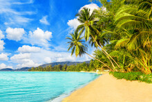 Beautiful Tropical Island Sea Beach Landscape, Turquoise Ocean Water, Yellow Sand, Sun Blue Sky White Cloud, Green Coconut Palm Tree Leaves, Paradise Nature, Summer Holidays, Vacation, Tourism, Travel