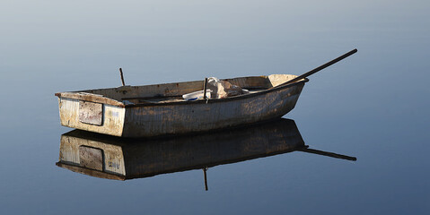 Poster - verlassenes Ruderboot spiegelt sich im Wasser