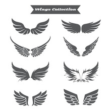 Wings Icons Collection Flat Black White Design
