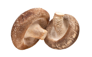 Wall Mural - Shiitake Mushroom isolated on transparent png