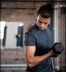 Canvas Print - Fitness, arm and dumbbell with a sports man training in a gym for strong or healthy muscles. Bicep, exercise and weightlifting with a male athlete or bodybuilder in a health club for a workout