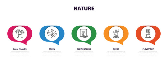 Poster - nature infographic element with outline icons and 5 step or option. nature icons such as palm islands, green, flower seeds, reeds, flowerpot vector.