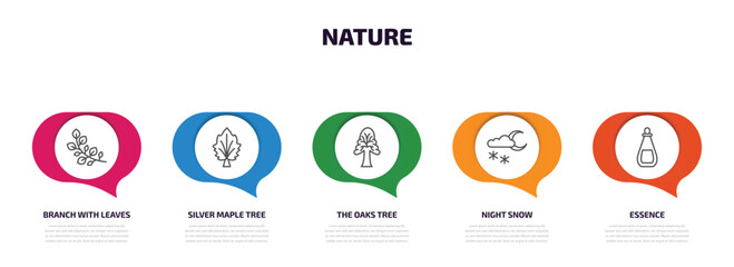 Poster - nature infographic element with outline icons and 5 step or option. nature icons such as branch with leaves, silver maple tree, the oaks tree, night snow, essence vector.