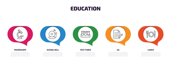 Poster - education infographic element with outline icons and 5 step or option. education icons such as microscope, school bell, test tubes, as, lunch vector.