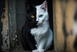 © QuietWord - cute white and black fur cat looking at you, Generative Ai