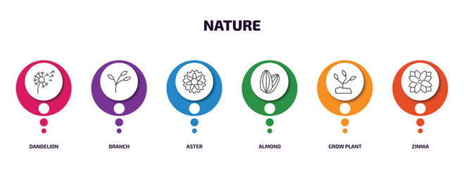 Poster - nature infographic element with outline icons and 6 step or option. nature icons such as dandelion, branch, aster, almond, grow plant, zinnia vector.