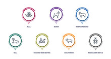 Insects Outline Icons With Infographic Template. Thin Line Icons Such As Null, Boxer, Newfoundland, Null, Dog And Man Seating, Bullterrier, Red Soldier Beetle Vector.