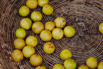 Canvas Print - Fruit in colander at traditional market