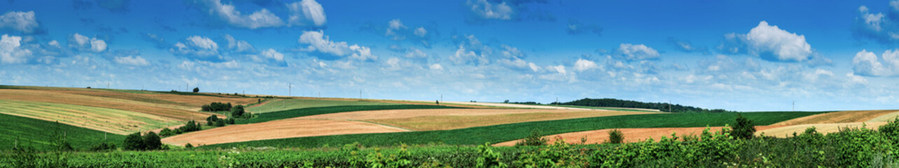 Wall Mural - panorama of hills, rural fields and meadows. Landscape of the village and countryside.