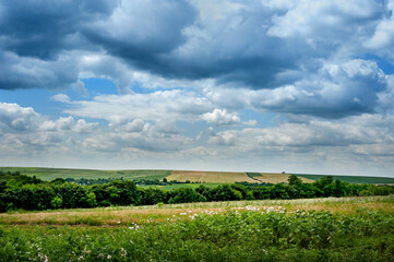 Wall Mural - Landscape of the countryside in summer, fields, land and fantastic sky