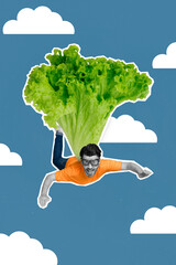 Poster - Creative poster collage of funny sporty young guy doing paragliding use lettuce parachute land high sky