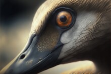 A Close Up Of A Bird With A Yellow Eye And A Black Beak And Head With A White Background And A Brown And Black Background.  Generative Ai