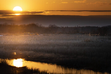 Marsh Sunset