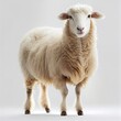 Whitefaced woodland sheep breed isolated on white background. Generative AI