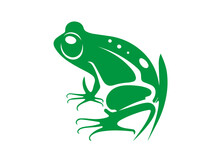Green Frog Vector Cartoon Illustration Isolated On White 
