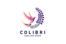 Flying Colibri Bird Logo Vector Illustration Design Sucking Lupine Nectar