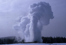 The Old Faithful Geyser Erupting In Yellowstone National Park, Wyoming, USA.