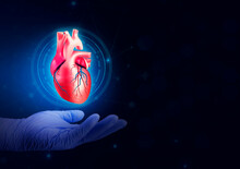 Doctor Hand And Human Heart. Cardiology And Medical Care For Heart Problems. Heart Disease. Digital Medicine And Modern And Technological Digital Health. CHF, Cardiomyopathy, Myocarditis, Arrhythmia