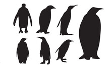 Vector Flat Illustration Set Of Penguins In Different Poses. Adult Birds And Chicks. Vector Illustration, Isolated On A White Background.