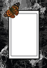 Mourning Dark Card With Colorful Butterfly. Abstract Black Condolence With A Frame For Text And Decorated With A Butterfly.