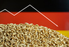 Reduction Of Wheat Grain Production In Germany. Food Crisis, Food Default. The Decline In Wheat Exports. Reduction Of Wheat Imports. Wheat Stocks In Germany Are Declining