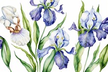 Illustration Purple Iris Flower Plant. Watercolor . Generative AI