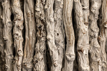  Detail Of A Row Of Wooden Sticks Element For The Background